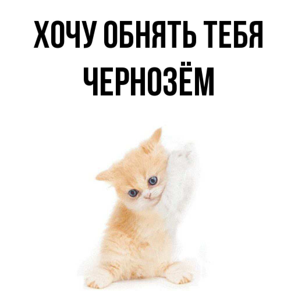 Открытка на каждый день с именем, Чернозём Хочу обнять тебя я хочу очень скорее обнимаешек Прикольная открытка с пожеланием онлайн скачать бесплатно 
