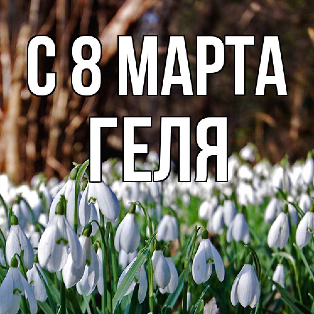 Открытка на каждый день с именем, Геля C 8 МАРТА с подснежниками 1 Прикольная открытка с пожеланием онлайн скачать бесплатно 