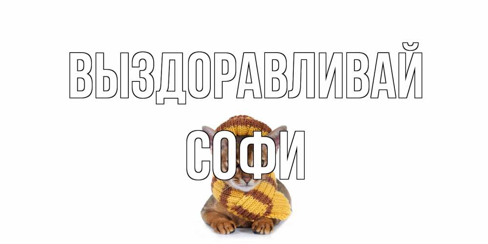 Открытка на каждый день с именем, Софи Выздоравливай родные не болейте Прикольная открытка с пожеланием онлайн скачать бесплатно 