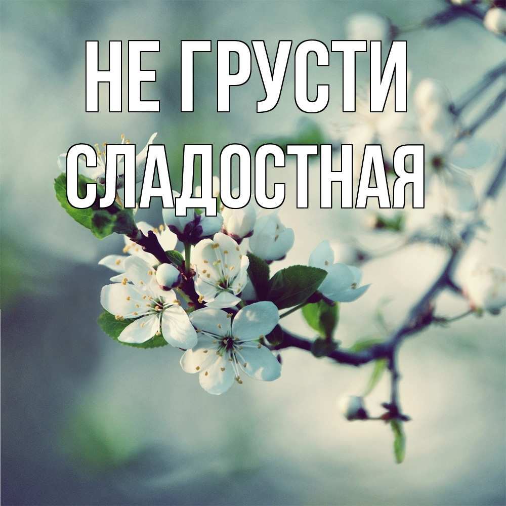 Открытка на каждый день с именем, Сладостная Не грусти яблоня в цвету 1 Прикольная открытка с пожеланием онлайн скачать бесплатно 