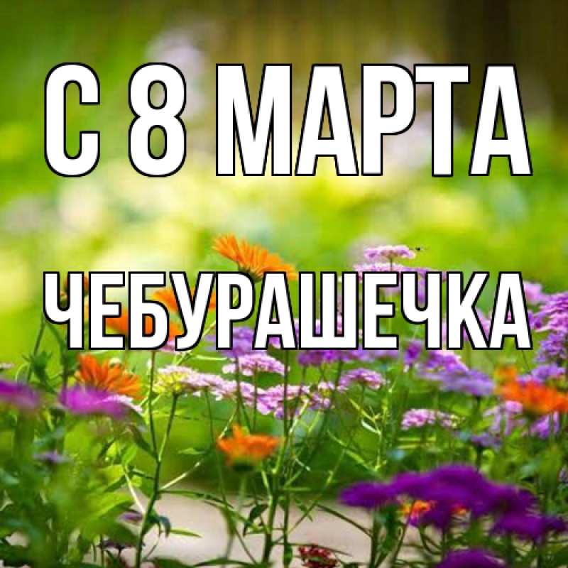 Картинка C 8 МАРТА, Чебурашечка
