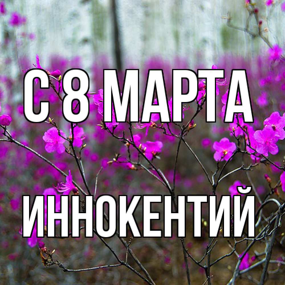 Открытка на каждый день с именем, Иннокентий C 8 МАРТА дикие цветы Прикольная открытка с пожеланием онлайн скачать бесплатно 