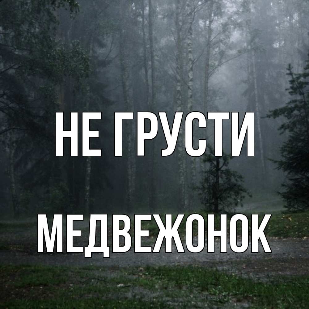 Открытка на каждый день с именем, медвежонок Не грусти осень Прикольная открытка с пожеланием онлайн скачать бесплатно 