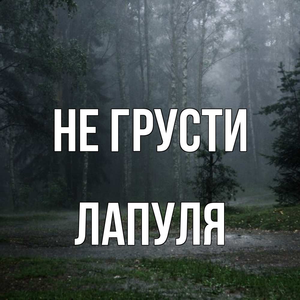 Открытка на каждый день с именем, Лапуля Не грусти осень Прикольная открытка с пожеланием онлайн скачать бесплатно 