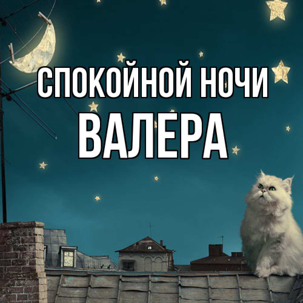 Открытка на каждый день с именем, Валера Спокойной ночи белый кот сидит на крыше Прикольная открытка с пожеланием онлайн скачать бесплатно 