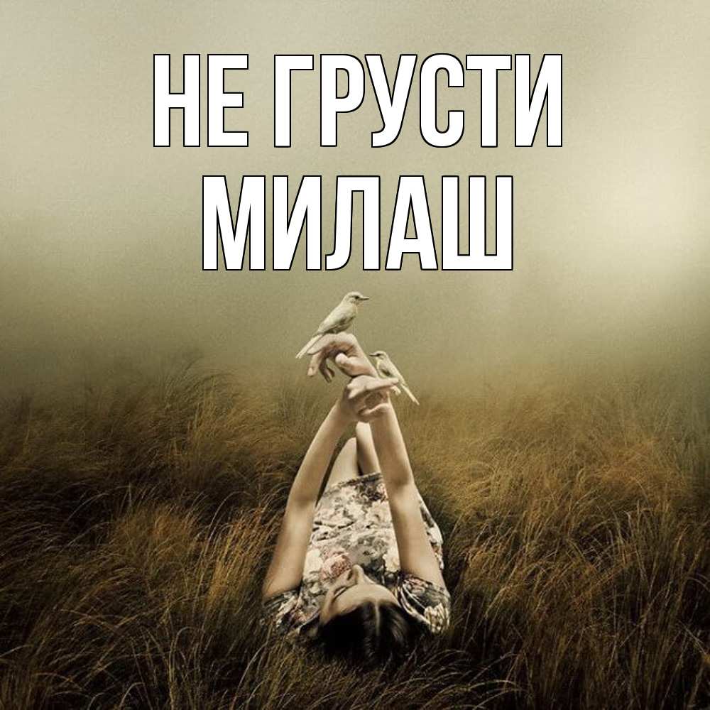 Открытка на каждый день с именем, Милаш Не грусти поле и туман Прикольная открытка с пожеланием онлайн скачать бесплатно 