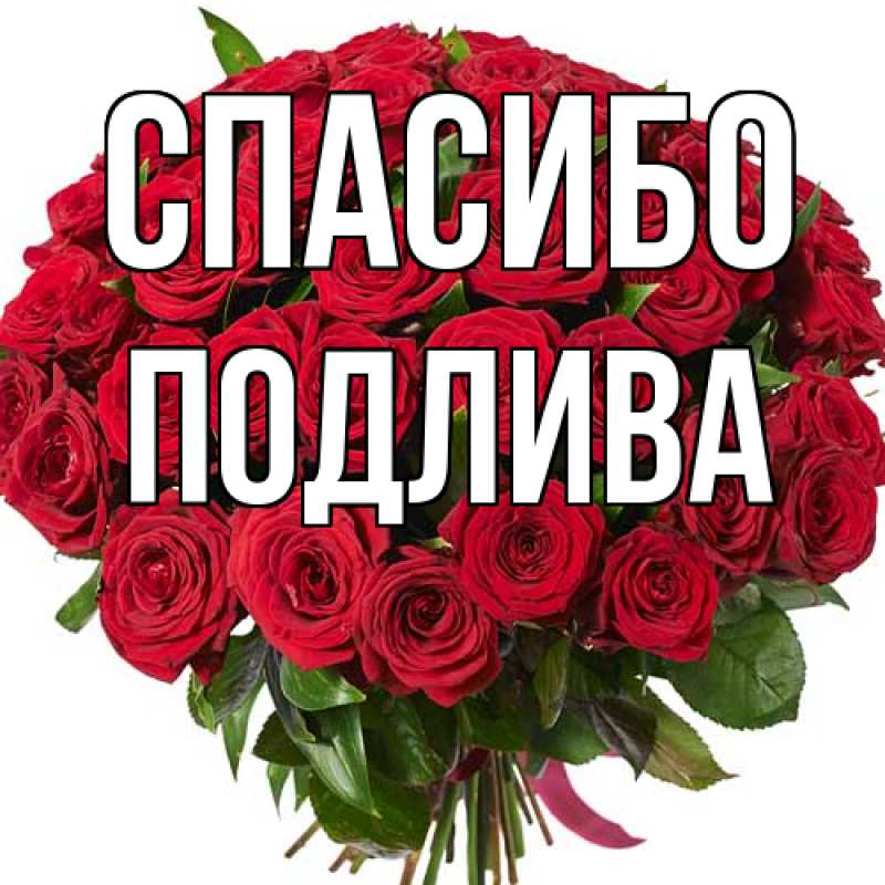 Картинка Спасибо, Подлива