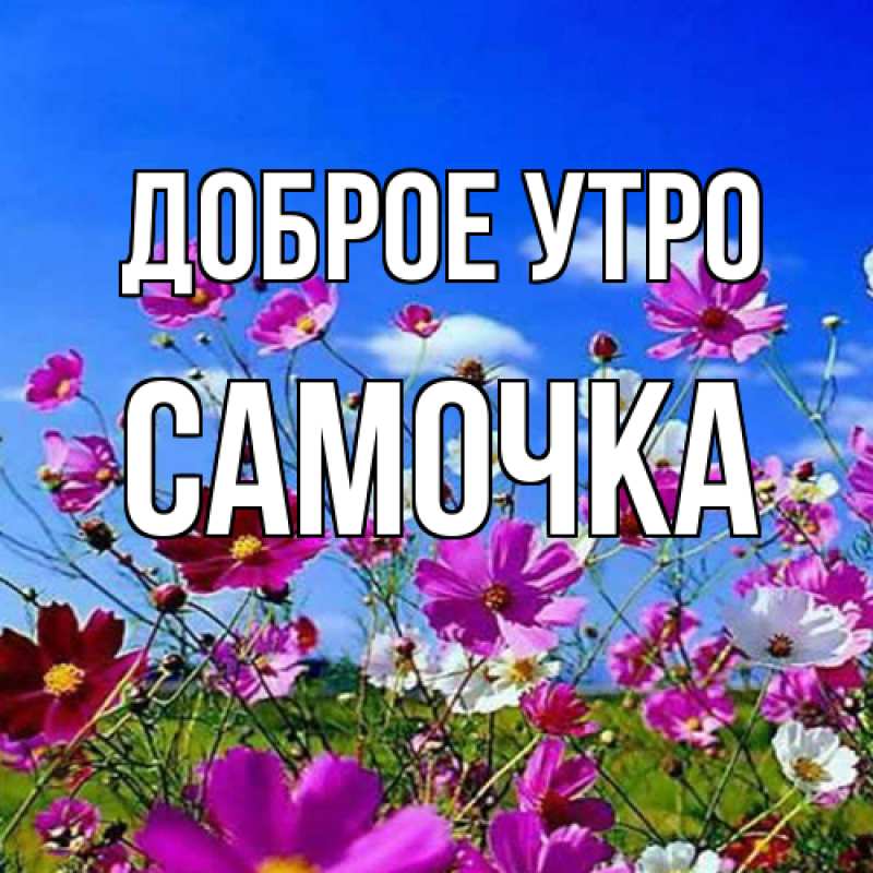 Картинка Доброе утро, Самочка