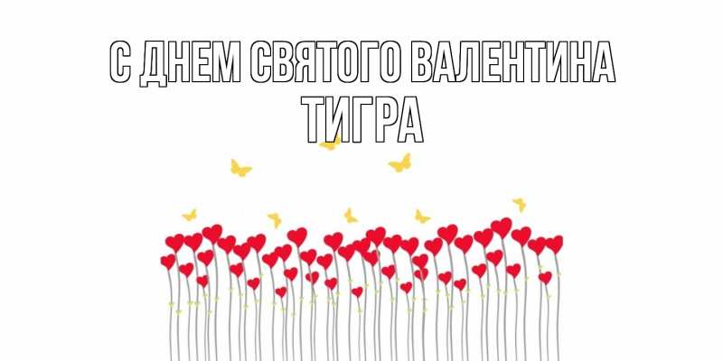 Картинка С днем Святого Валентина, Тигра