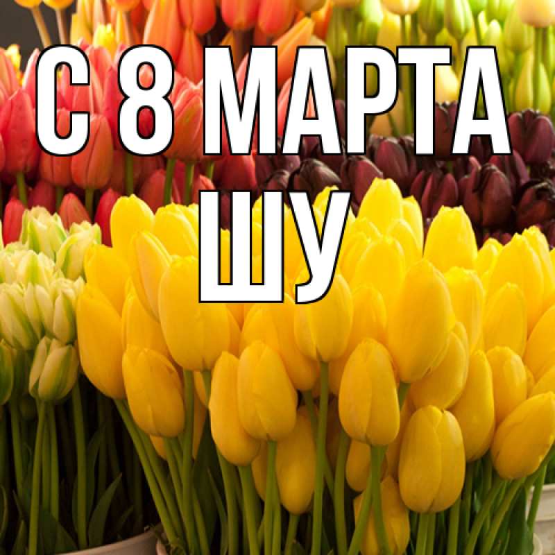Картинка C 8 МАРТА, Шу
