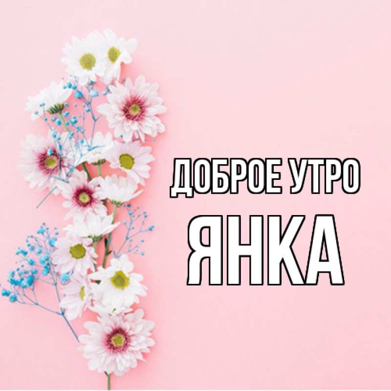 Картинка Доброе утро, Янка