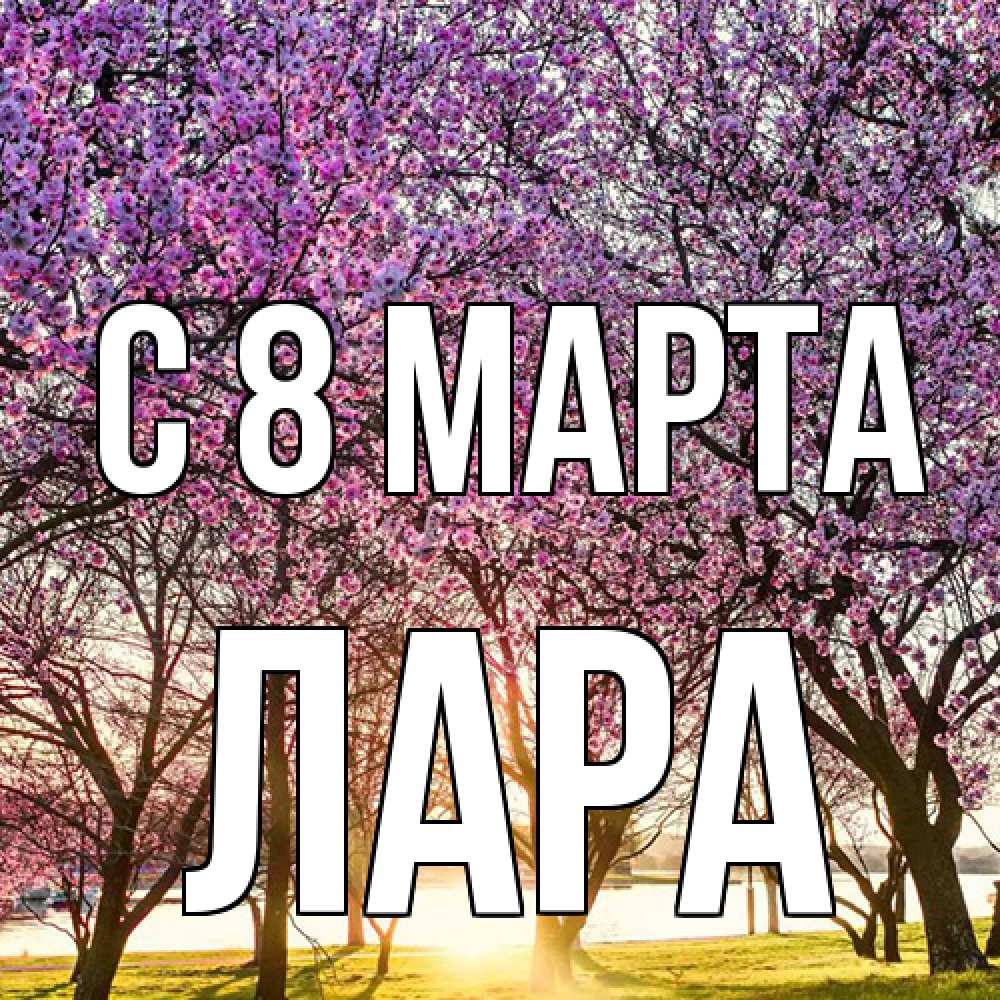 Открытка на каждый день с именем, Лара C 8 МАРТА международный женский день Прикольная открытка с пожеланием онлайн скачать бесплатно 