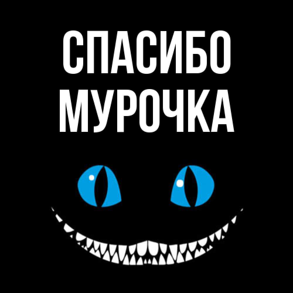 Открытка на каждый день с именем, Муpочка Спасибо благодарю от чеширика Прикольная открытка с пожеланием онлайн скачать бесплатно 