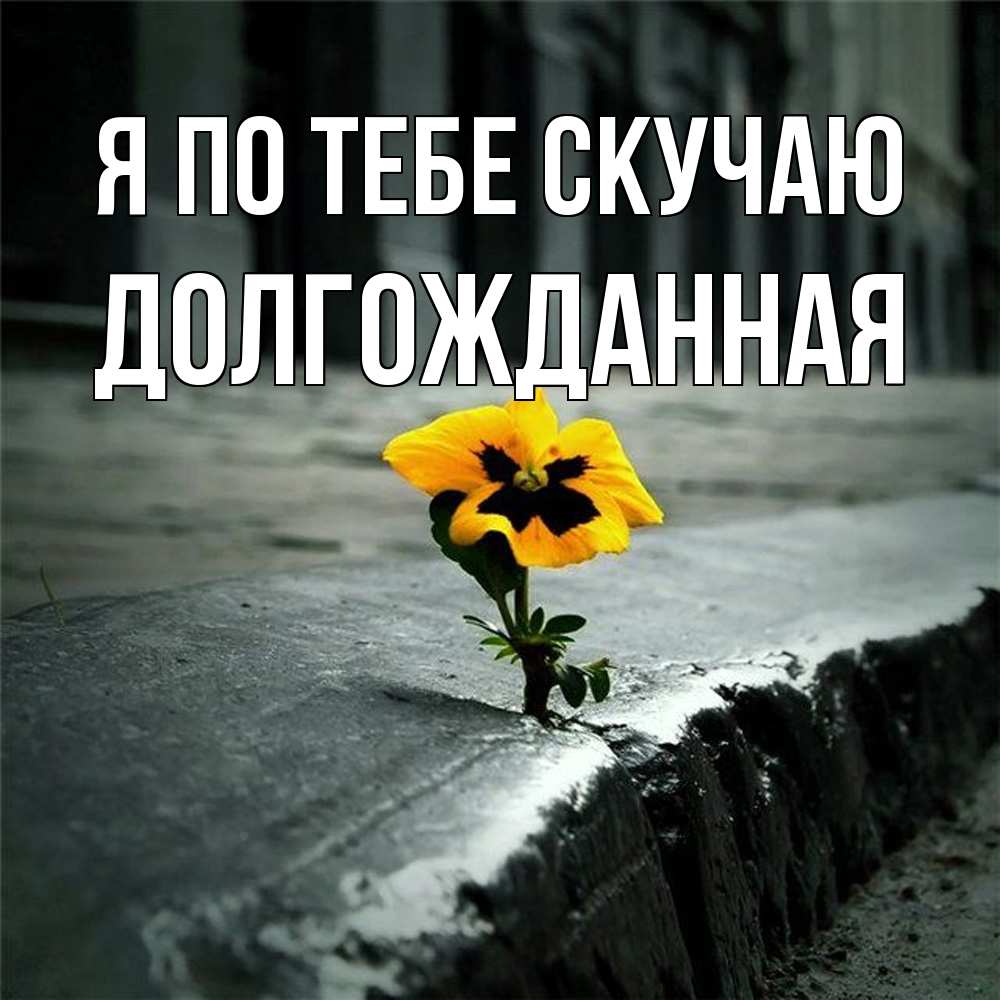 Открытка на каждый день с именем, Долгожданная Я по тебе скучаю надеюсь будет лучше Прикольная открытка с пожеланием онлайн скачать бесплатно 