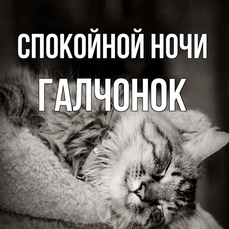 Картинка Спокойной ночи, галчонок
