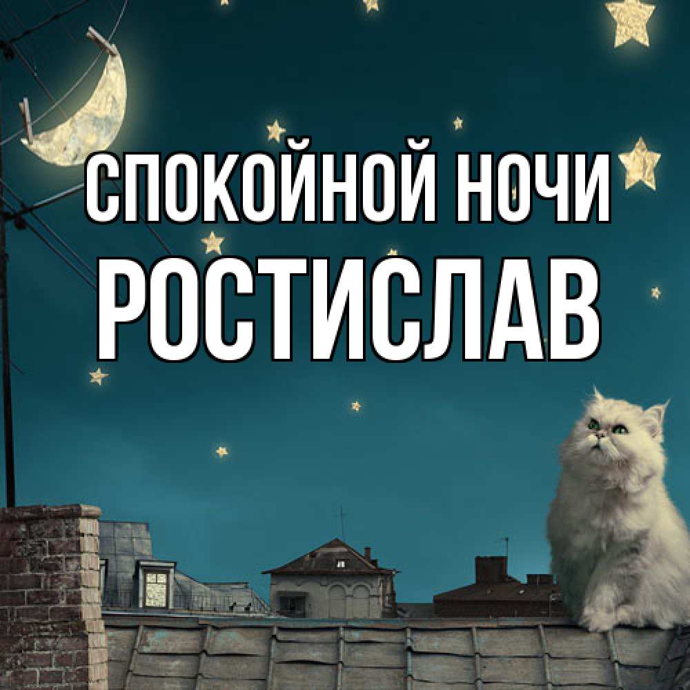 Открытка на каждый день с именем, Ростислав Спокойной ночи белый кот сидит на крыше Прикольная открытка с пожеланием онлайн скачать бесплатно 