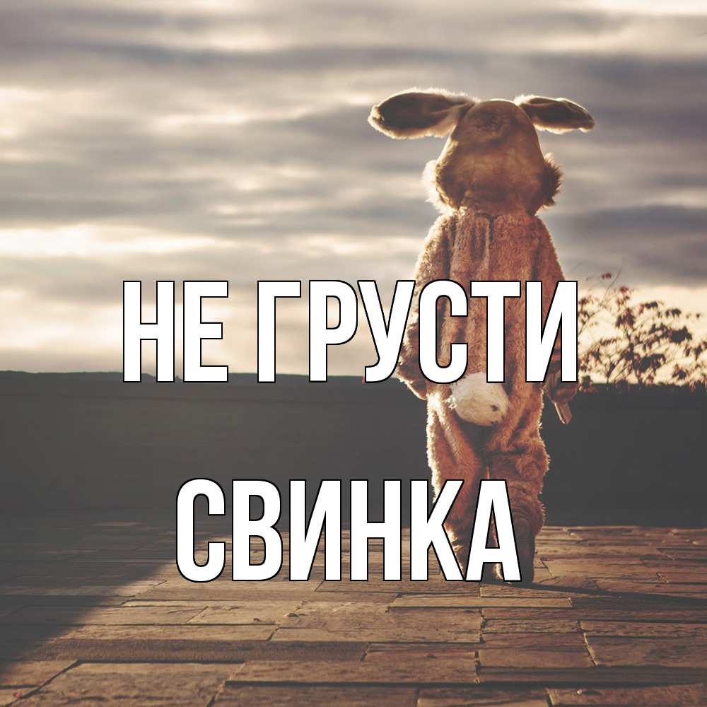 Открытка на каждый день с именем, Свинка Не грусти со спины Прикольная открытка с пожеланием онлайн скачать бесплатно 