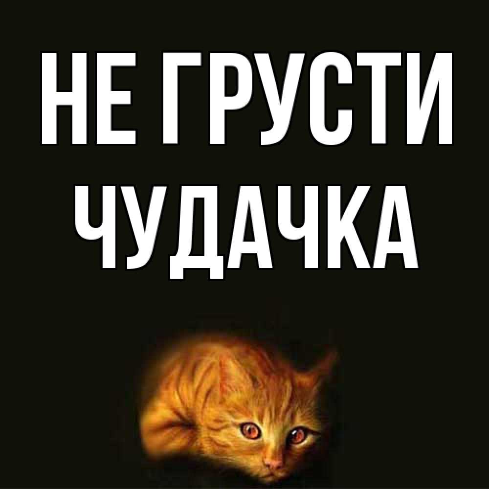 Открытка на каждый день с именем, Чудачка Не грусти лежащий кот в темноте Прикольная открытка с пожеланием онлайн скачать бесплатно 
