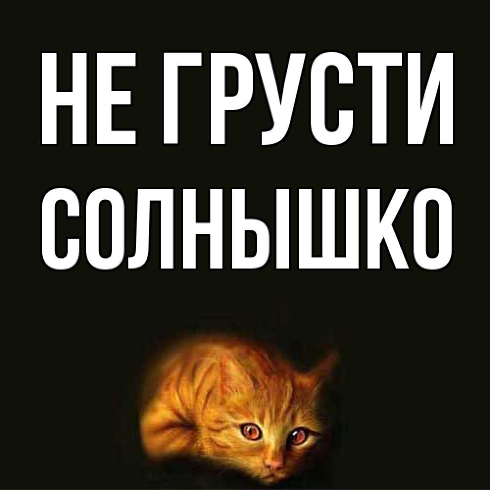 Открытка на каждый день с именем, Солнышко Не грусти лежащий кот в темноте Прикольная открытка с пожеланием онлайн скачать бесплатно 