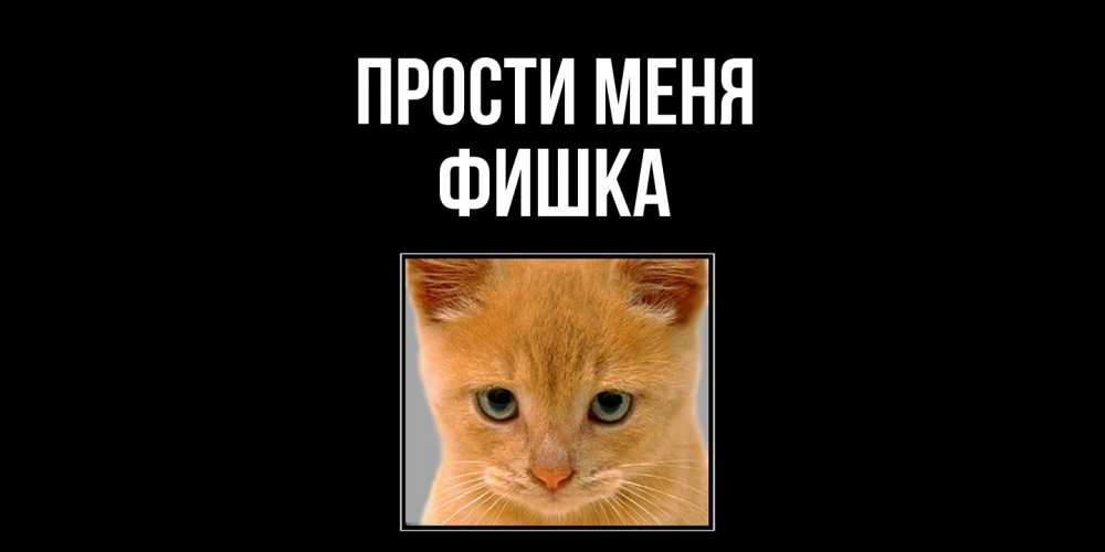 Открытка на каждый день с именем, Фишка Прости меня рыжий грустный кот просит прощения Прикольная открытка с пожеланием онлайн скачать бесплатно 