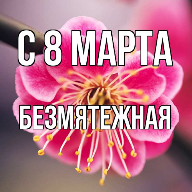 Картинка C 8 МАРТА, безмятежная