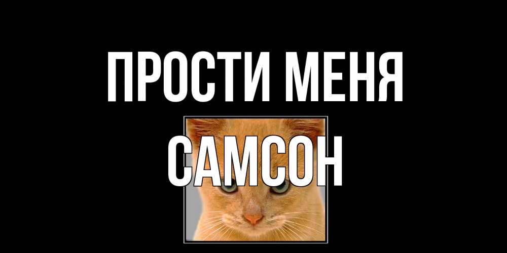 Открытка на каждый день с именем, Самсон Прости меня рыжий грустный кот просит прощения Прикольная открытка с пожеланием онлайн скачать бесплатно 