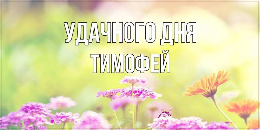 Открытка на каждый день с именем, Тимофей Удачного дня красивая открытка с летней темой Прикольная открытка с пожеланием онлайн скачать бесплатно 