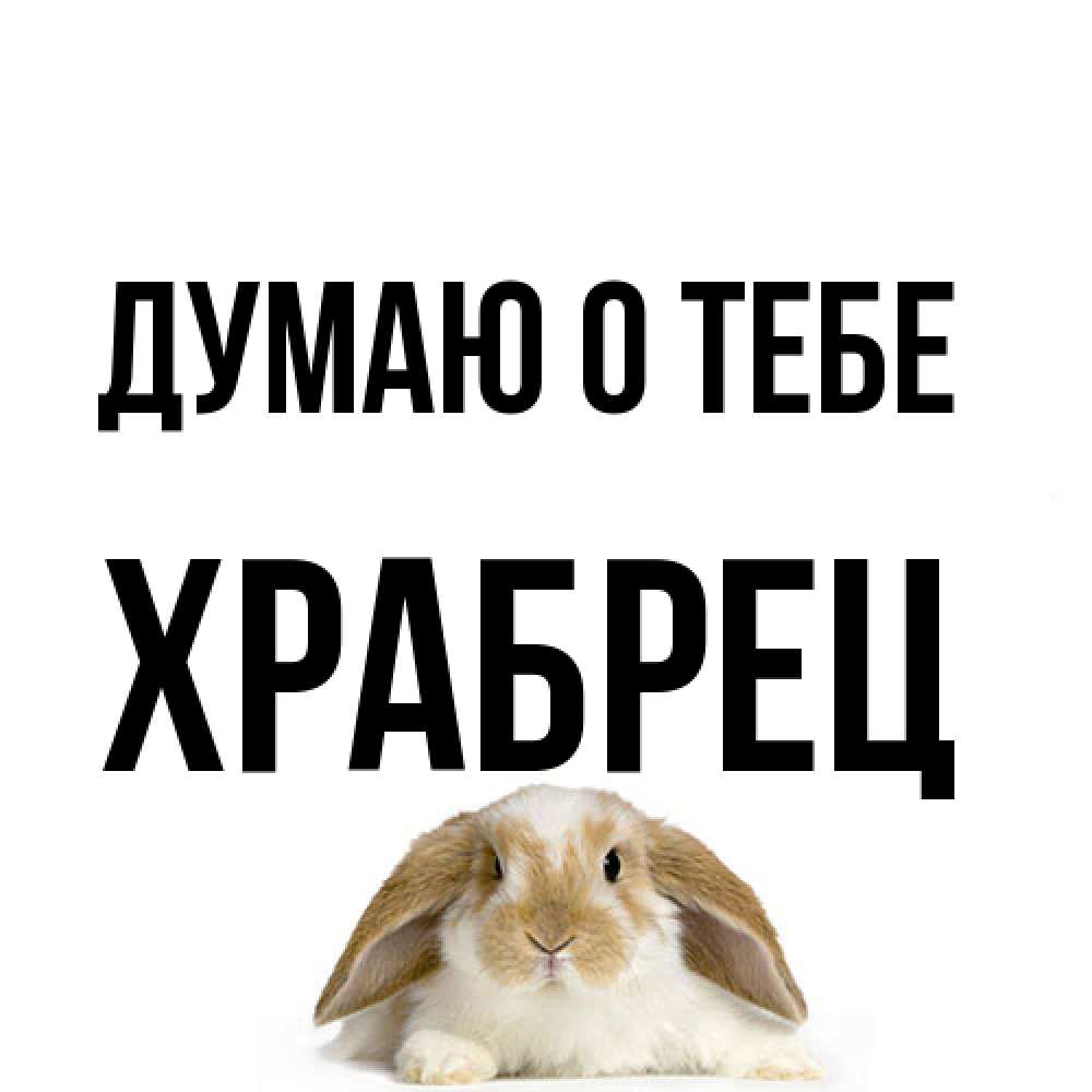 Открытка на каждый день с именем, Храбрец Думаю о тебе подписать своими руками онлайн Прикольная открытка с пожеланием онлайн скачать бесплатно 