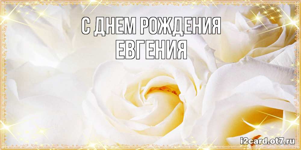 Открытка на каждый день с именем, Евгения С днем рождения красивые розы и капли росы на этих чудесных цветах Прикольная открытка с пожеланием онлайн скачать бесплатно 