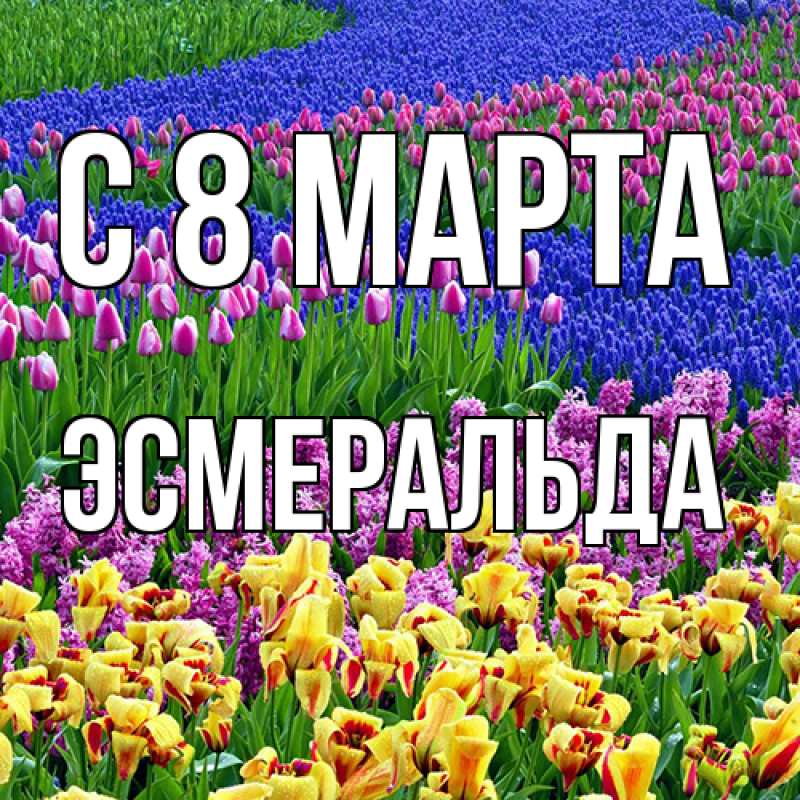 Картинка C 8 МАРТА, Эсмеральда