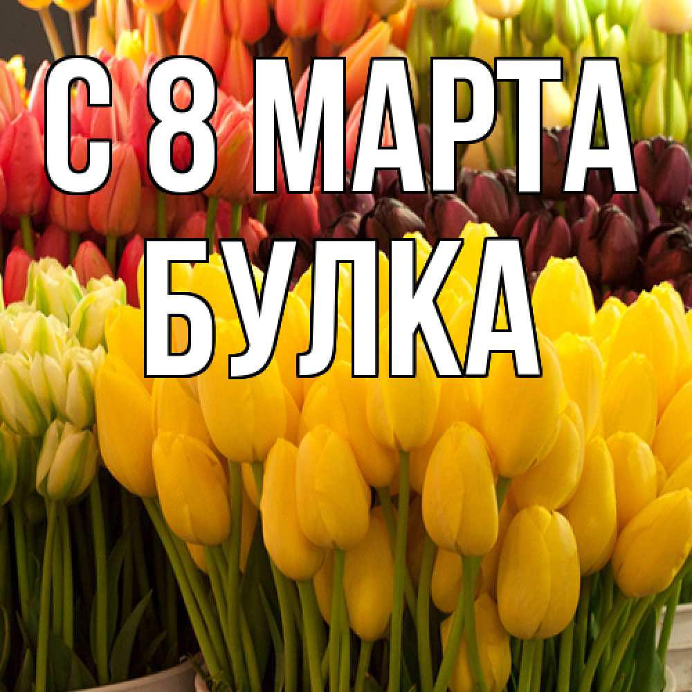 Открытка на каждый день с именем, Булка C 8 МАРТА цветы Прикольная открытка с пожеланием онлайн скачать бесплатно 