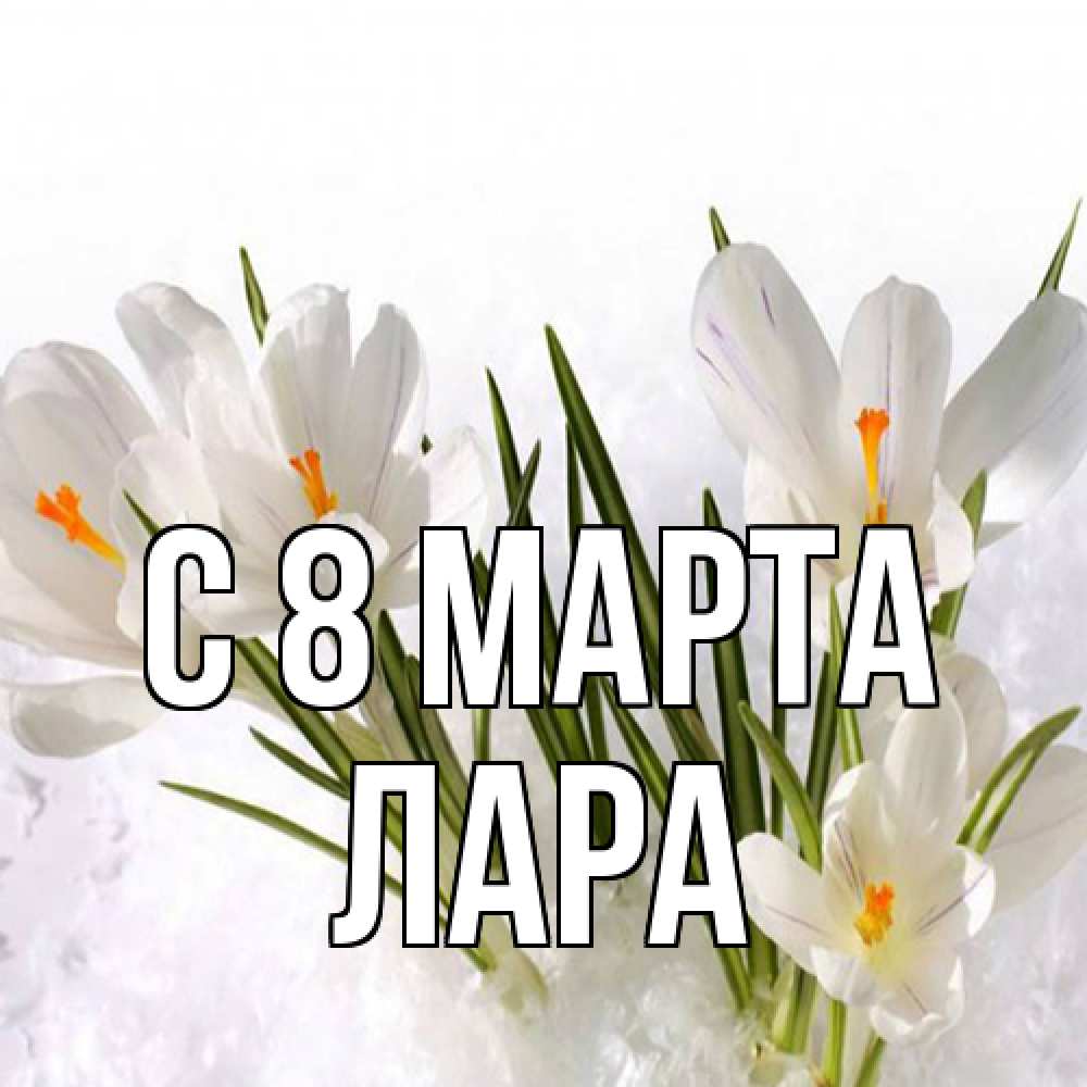 Открытка на каждый день с именем, Лара C 8 МАРТА под снегом Прикольная открытка с пожеланием онлайн скачать бесплатно 