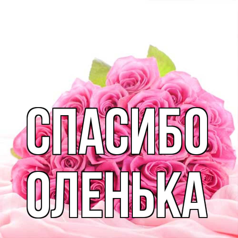 Открытка на каждый день с именем, Оленька Спасибо розовые розы с подписью Прикольная открытка с пожеланием онлайн скачать бесплатно 