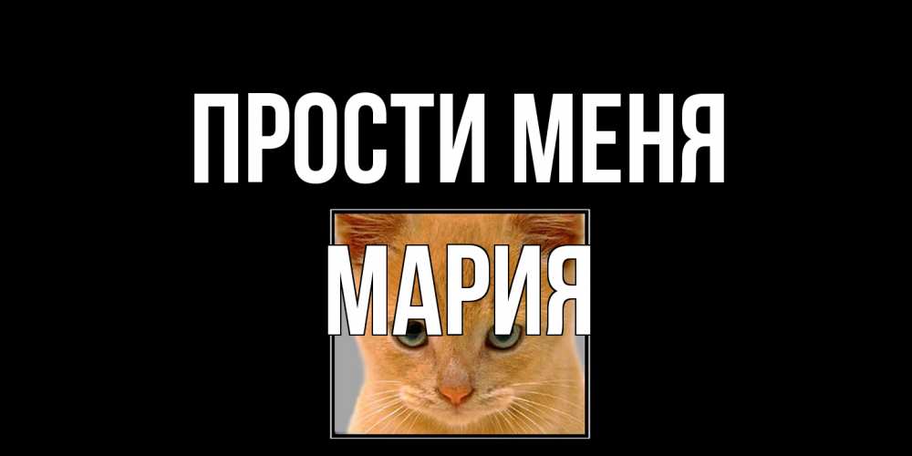 Открытка на каждый день с именем, Мария Прости меня рыжий грустный кот просит прощения Прикольная открытка с пожеланием онлайн скачать бесплатно 