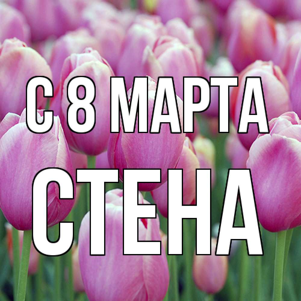 Открытка на каждый день с именем, Стена C 8 МАРТА на международный женский день 3 Прикольная открытка с пожеланием онлайн скачать бесплатно 