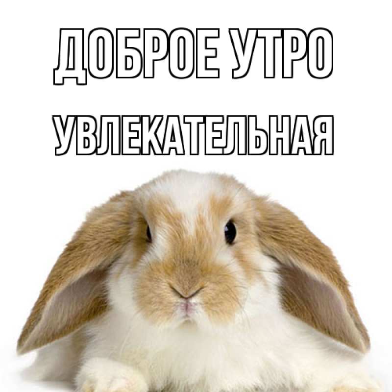 Картинка Доброе утро, Увлекательная