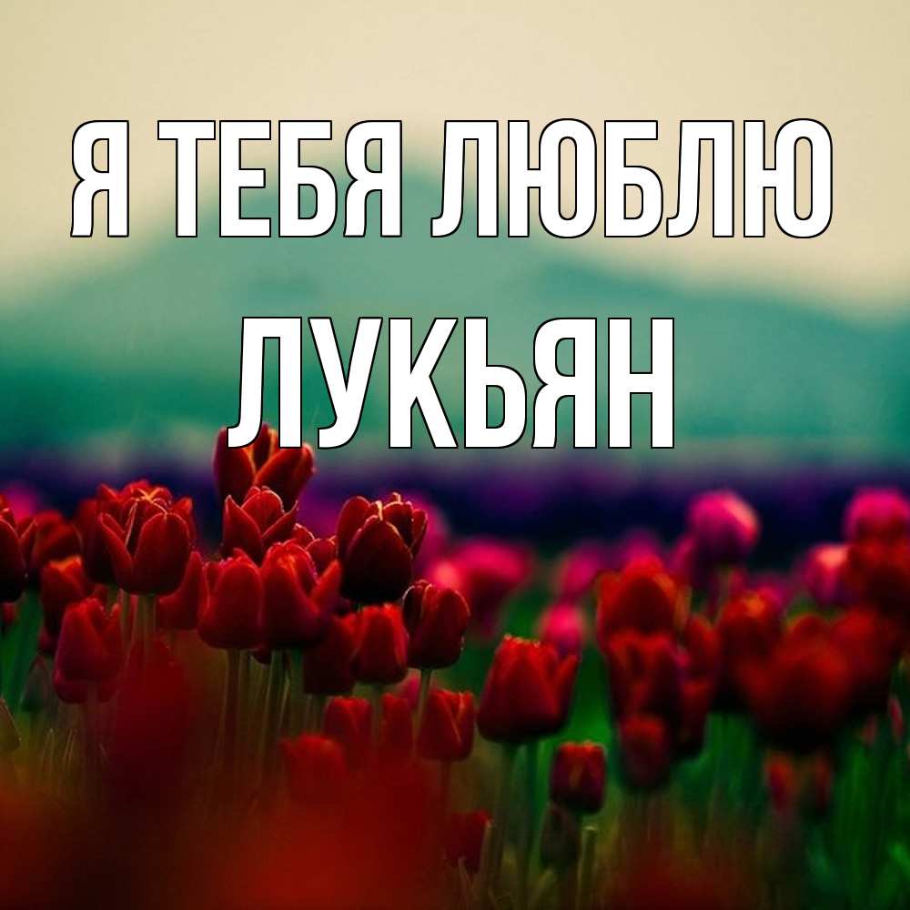Открытка на каждый день с именем, Лукьян Я тебя люблю тюльпаны 4 Прикольная открытка с пожеланием онлайн скачать бесплатно 