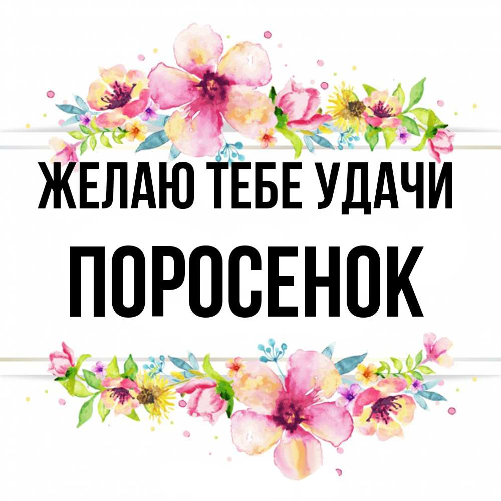 Открытка на каждый день с именем, Поросенок Желаю тебе удачи пусть повезет 1 Прикольная открытка с пожеланием онлайн скачать бесплатно 