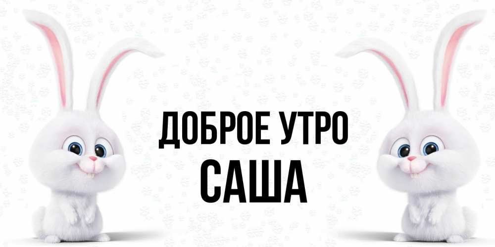 Открытка на каждый день с именем, Саша Доброе утро кролики с длинными ушками Прикольная открытка с пожеланием онлайн скачать бесплатно 