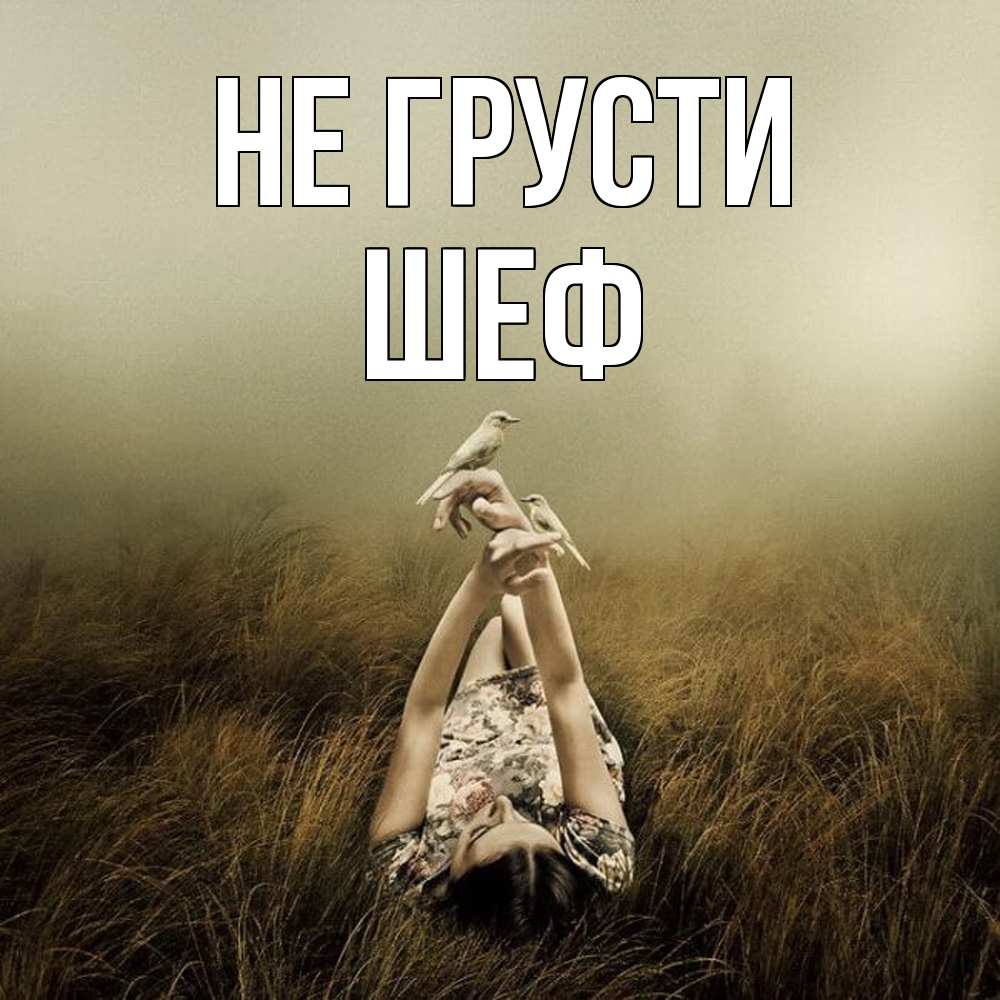 Открытка на каждый день с именем, Шеф Не грусти поле и туман Прикольная открытка с пожеланием онлайн скачать бесплатно 