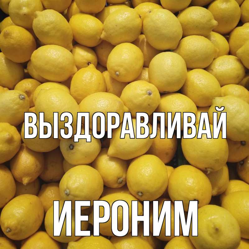 Картинка Выздоравливай, Иероним