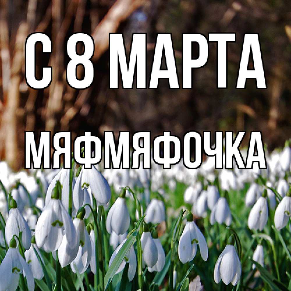 Открытка на каждый день с именем, мяфмяфочка C 8 МАРТА с подснежниками 1 Прикольная открытка с пожеланием онлайн скачать бесплатно 