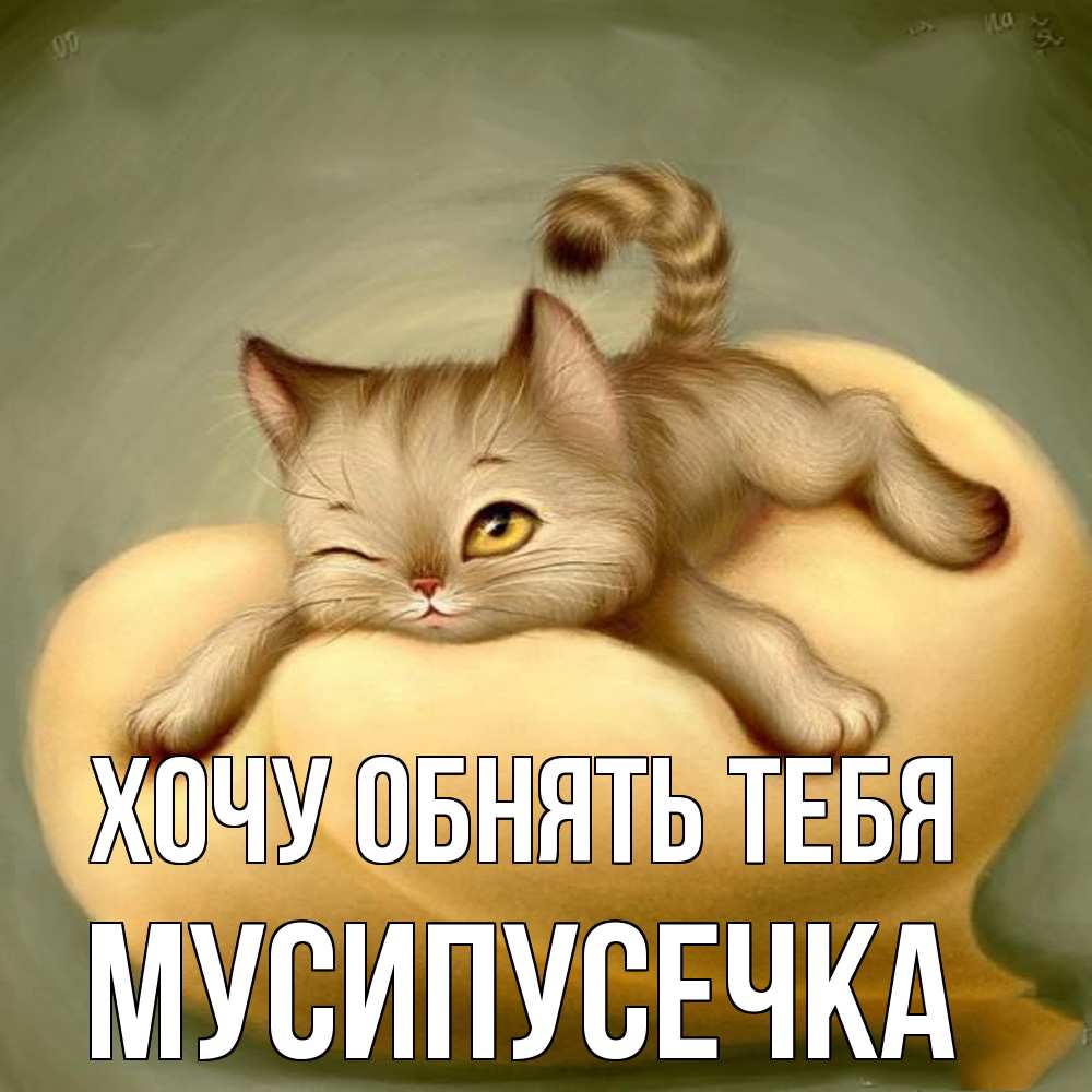 Открытка на каждый день с именем, Мусипусечка Хочу обнять тебя кошечка Прикольная открытка с пожеланием онлайн скачать бесплатно 