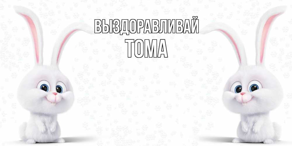 Открытка на каждый день с именем, Тома Выздоравливай не болей с зайцем Прикольная открытка с пожеланием онлайн скачать бесплатно 