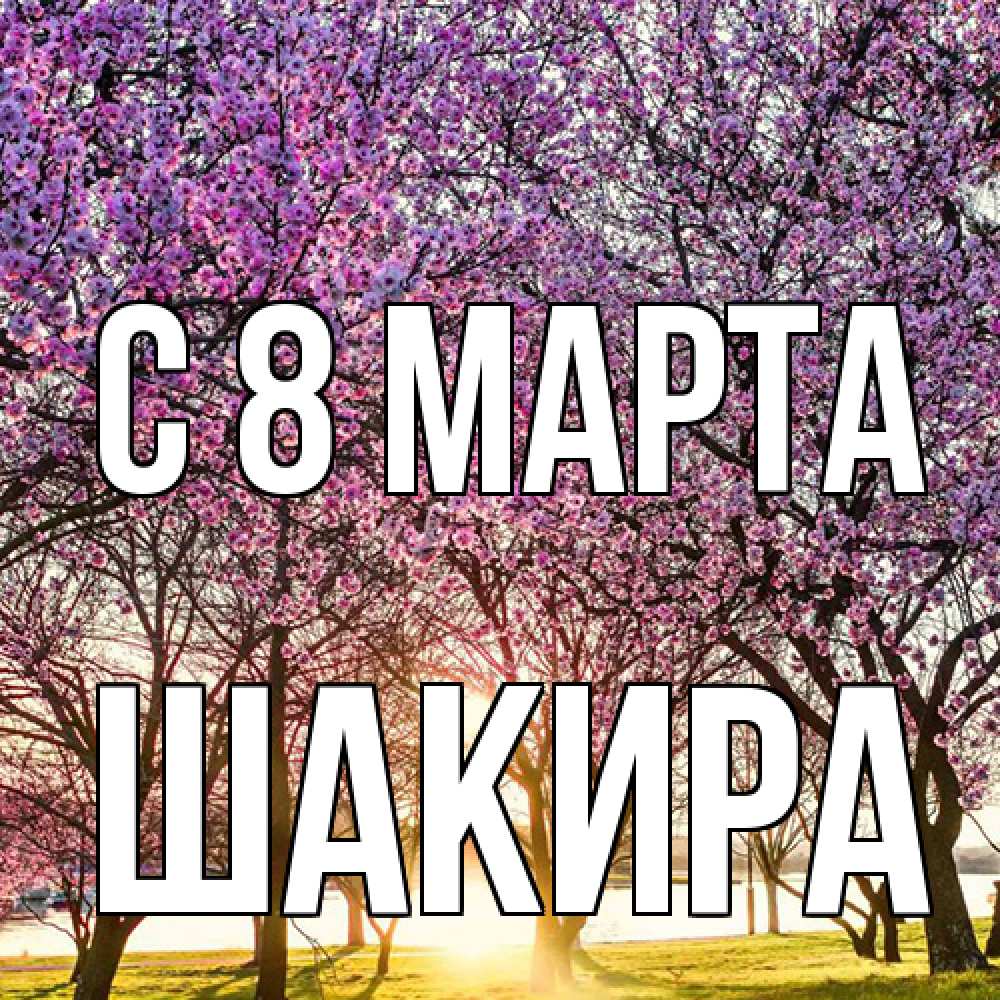 Открытка на каждый день с именем, Шакира C 8 МАРТА международный женский день Прикольная открытка с пожеланием онлайн скачать бесплатно 