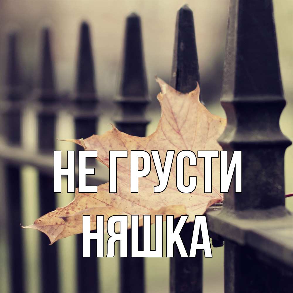 Открытка на каждый день с именем, Няшка Не грусти лист клена Прикольная открытка с пожеланием онлайн скачать бесплатно 