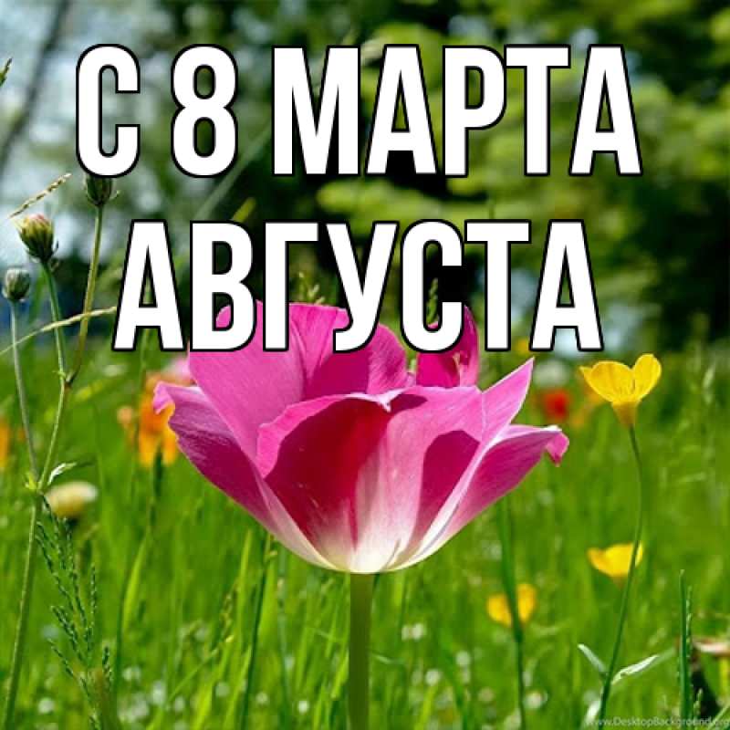 Картинка C 8 МАРТА, Августа