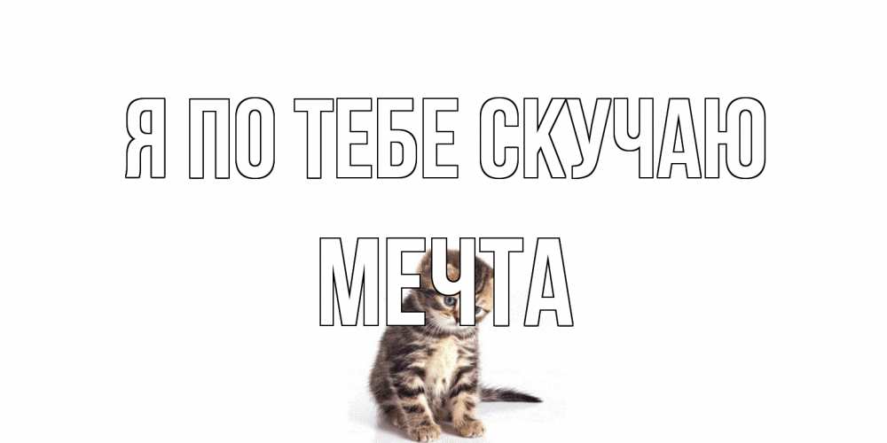 Открытка на каждый день с именем, мечта Я по тебе скучаю кот Прикольная открытка с пожеланием онлайн скачать бесплатно 