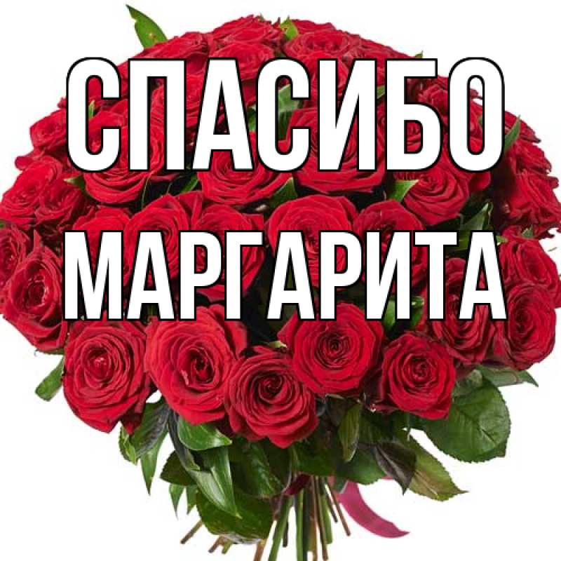 Картинка Спасибо, Маргарита