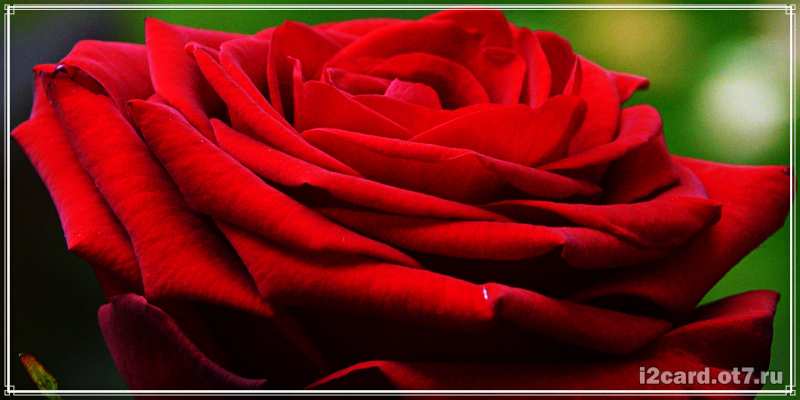 Картинка С днем рождения, Адис